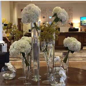 Meet your Posher, Anitra